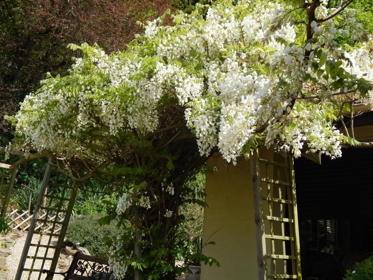 The Petite Chalet Chambre D'Hotes L'Isle-Jourdain  Zewnętrze zdjęcie