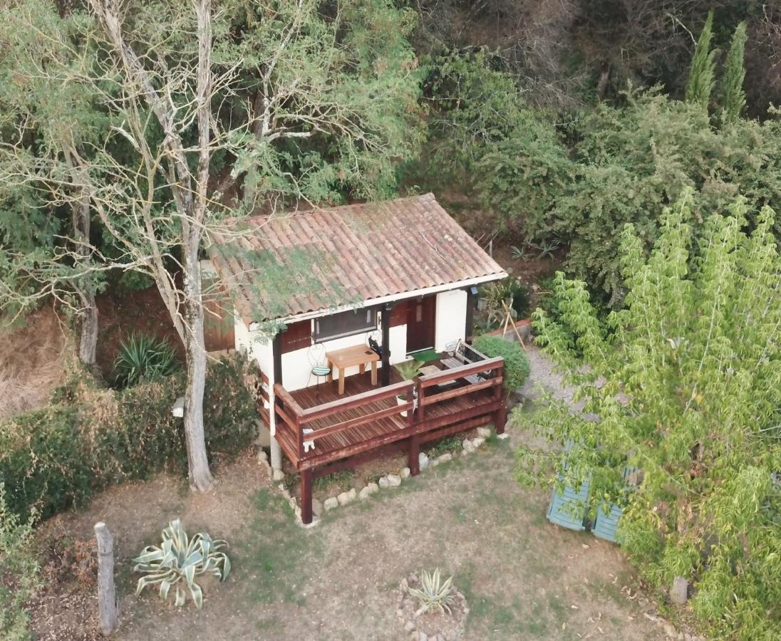 The Petite Chalet Chambre D'Hotes L'Isle-Jourdain  Zewnętrze zdjęcie
